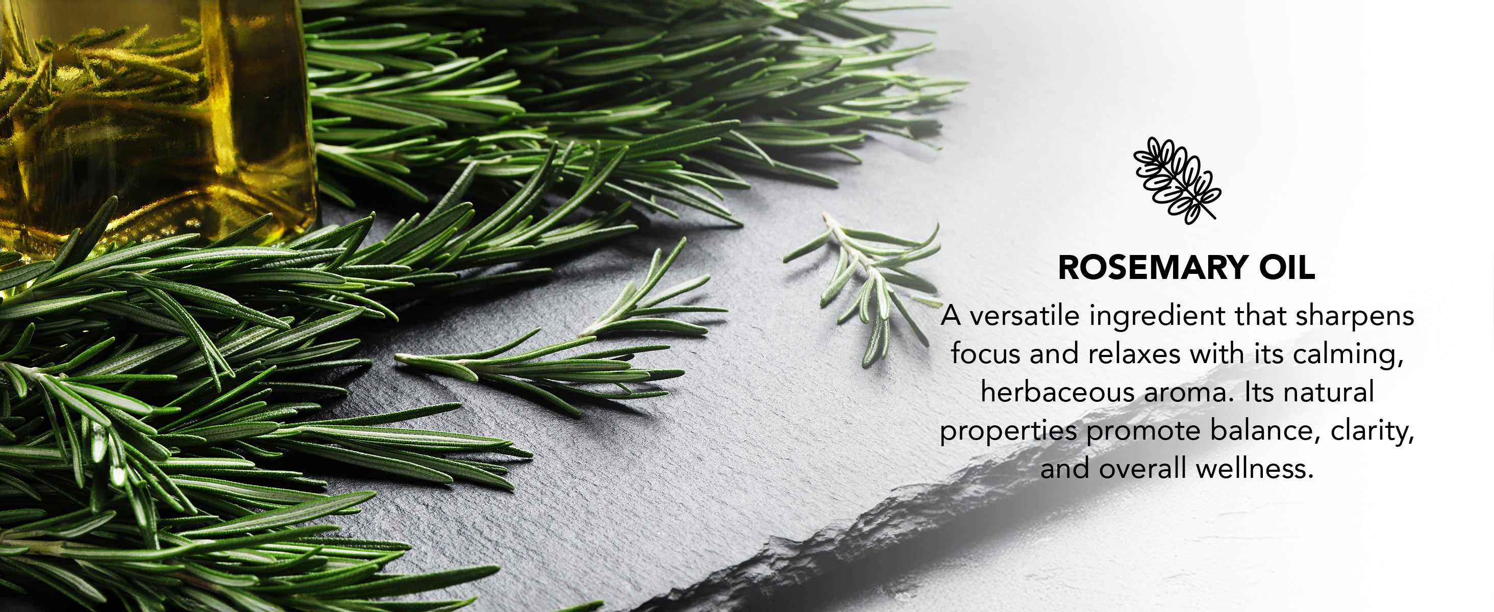 Rosemary oil bottle with fresh rosemary leaves on a dark surface