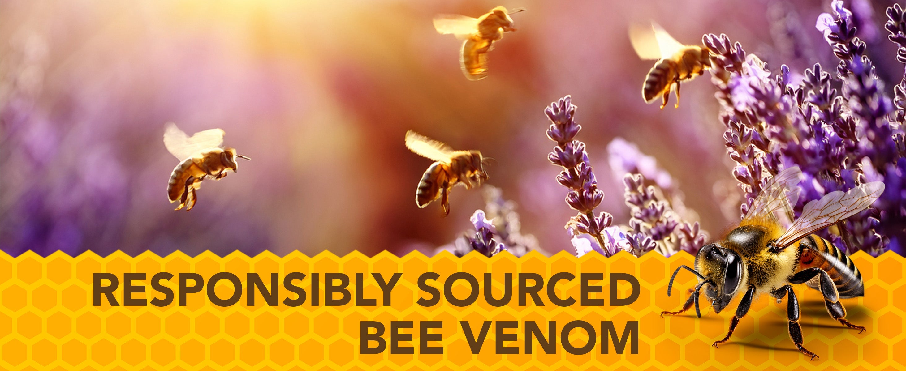 Bees around lavender flowers with a banner indicating 'Responsibly Sourced Bee Venom'.